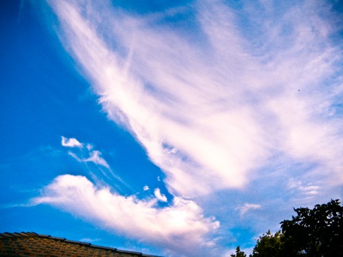 Jan 21 - Wispy
