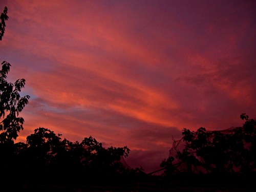 Feb 8 - Cloud Cover
